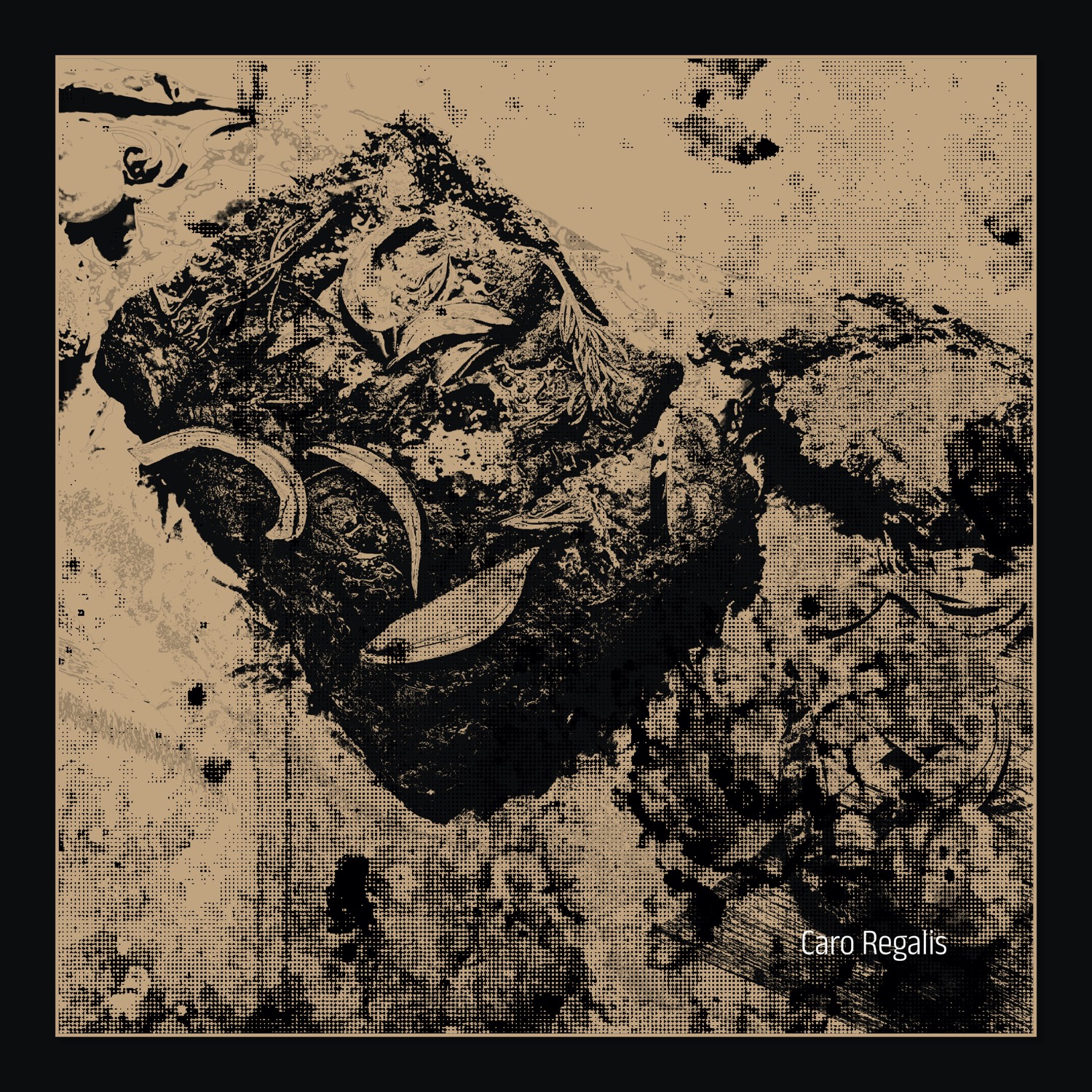 Cover%20Album